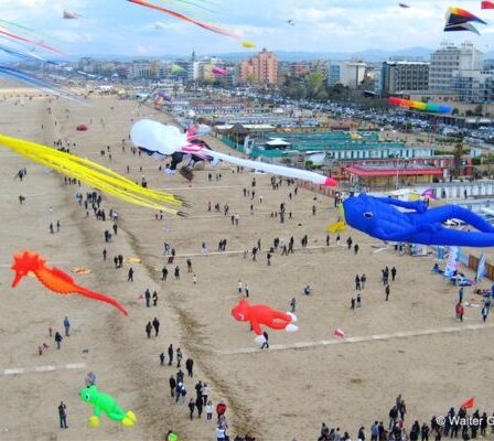 Acquilonata sulla spiaggia di Riccione