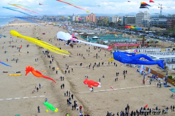 Acquilonata sulla spiaggia di Riccione